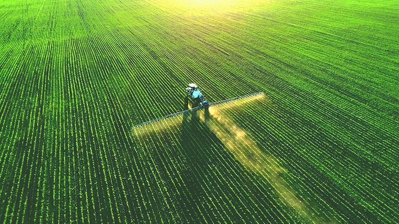 spraying field